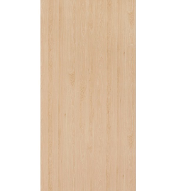 Mangfall Beech