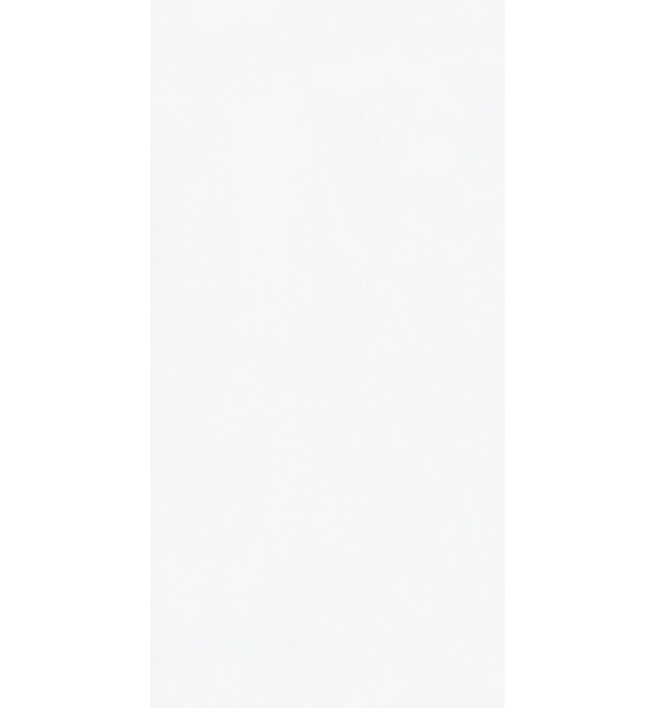 Absolute White