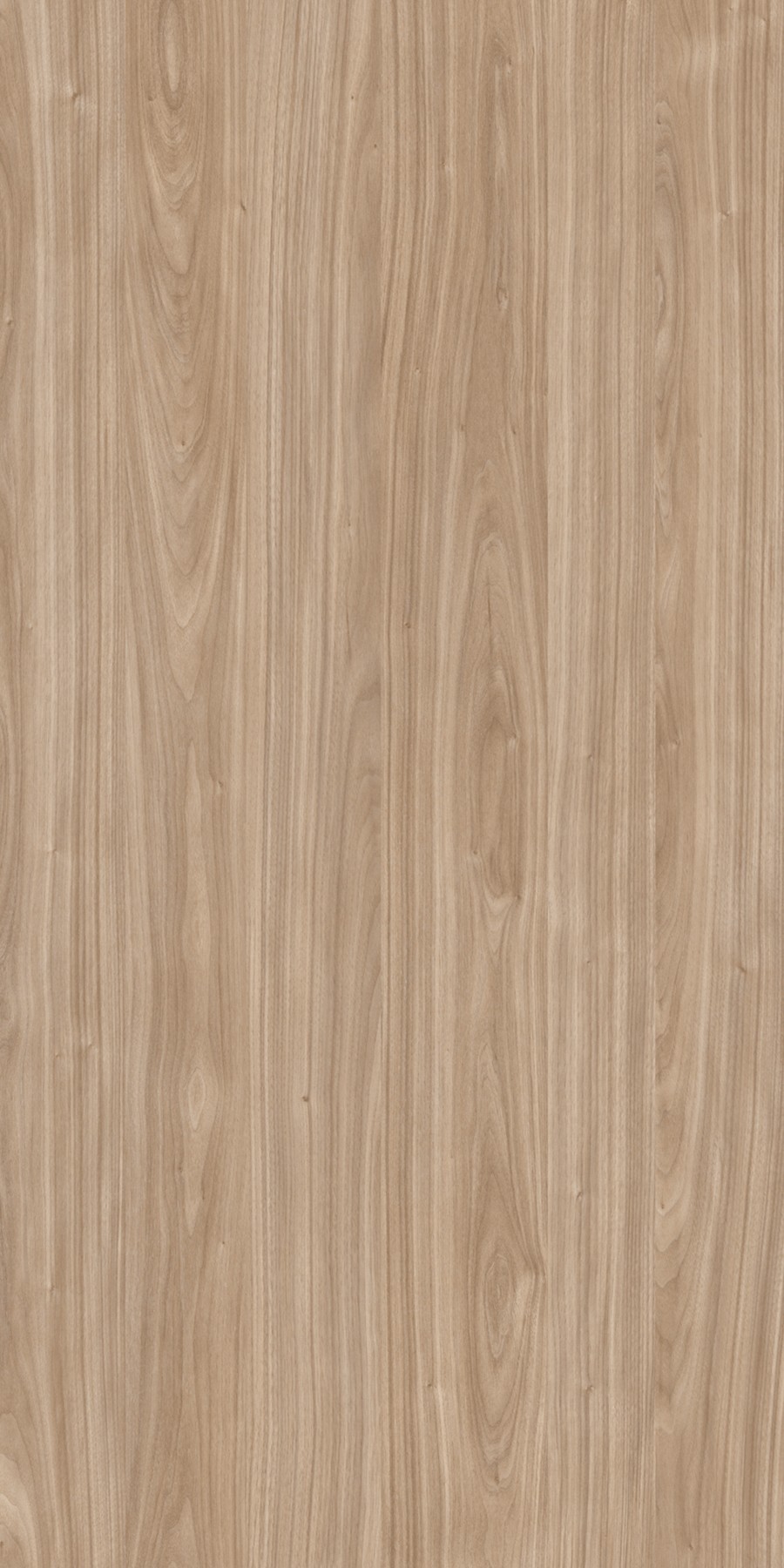 Nordic Walnut Laminates - Greenlam