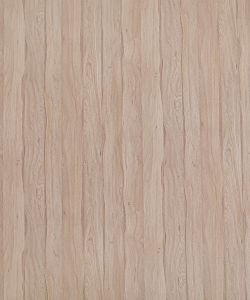 Primeval Oak