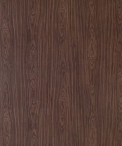 American Walnut