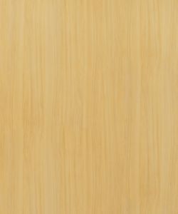 European White Elm
