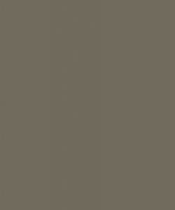 Pine Nut