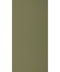Pine Nut