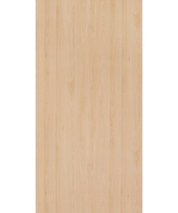 Mangfall Beech