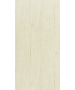 Argent Elm