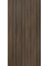 Snuff Elm