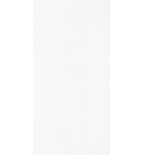 Absolute White